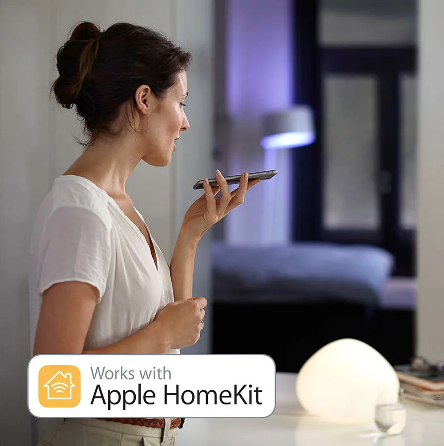 Philips Hue Bridge Accessoire connecté et domotique