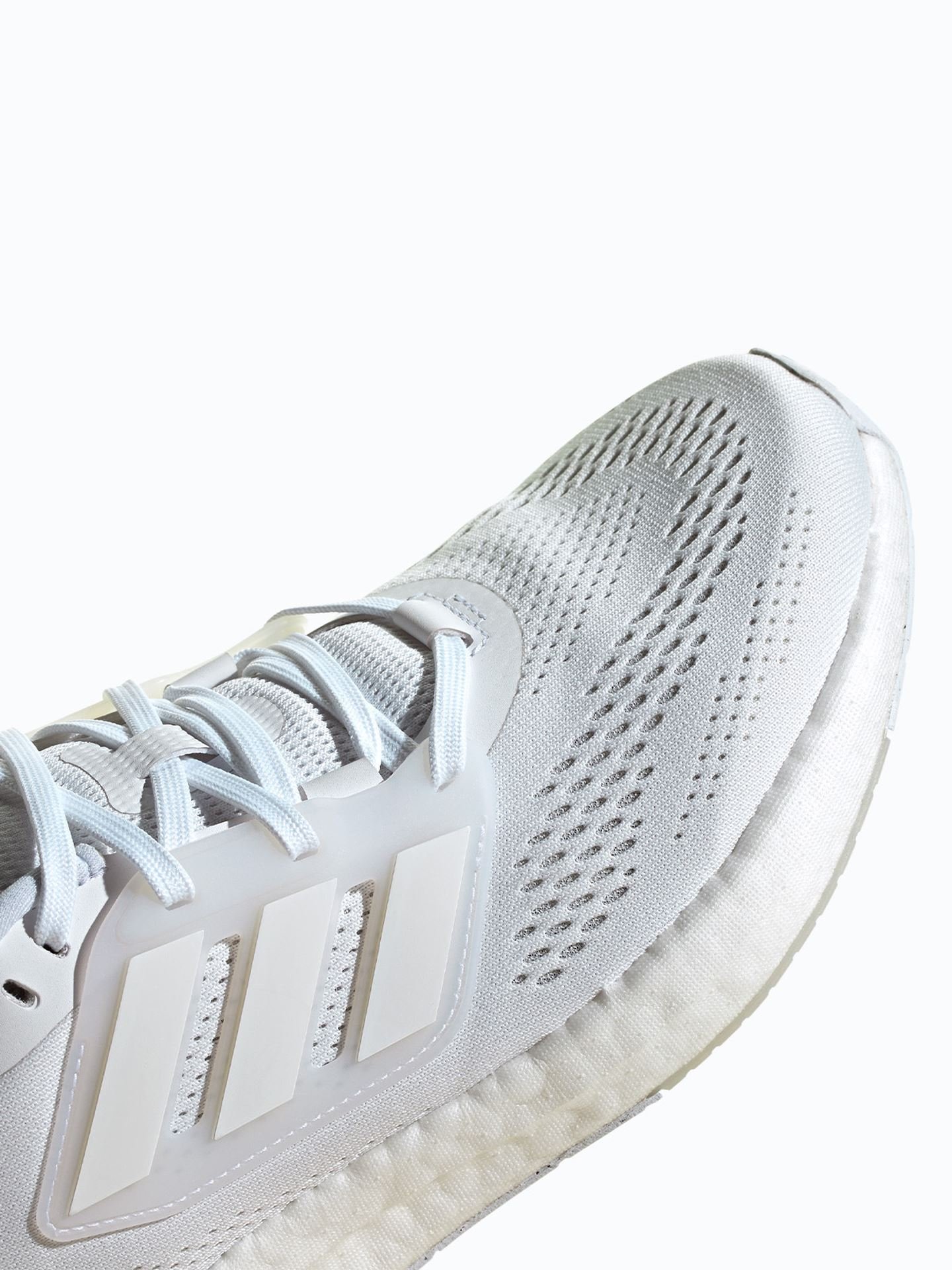 Pureboost 22