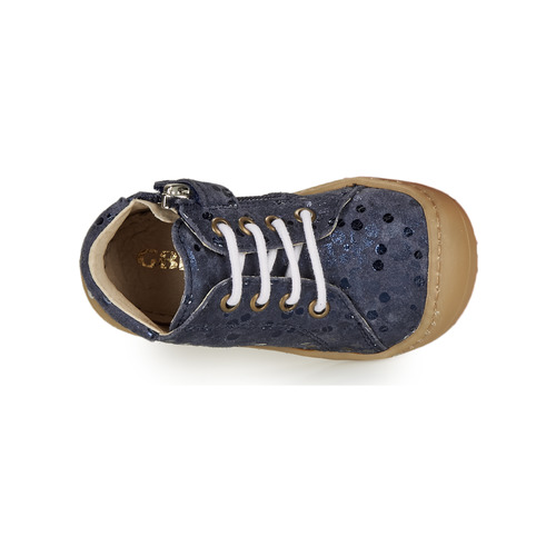 GBB - VEDOFA - Bleu