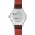 Alpina Alpiner 4 Automatik Grau AL-525G5AQ6