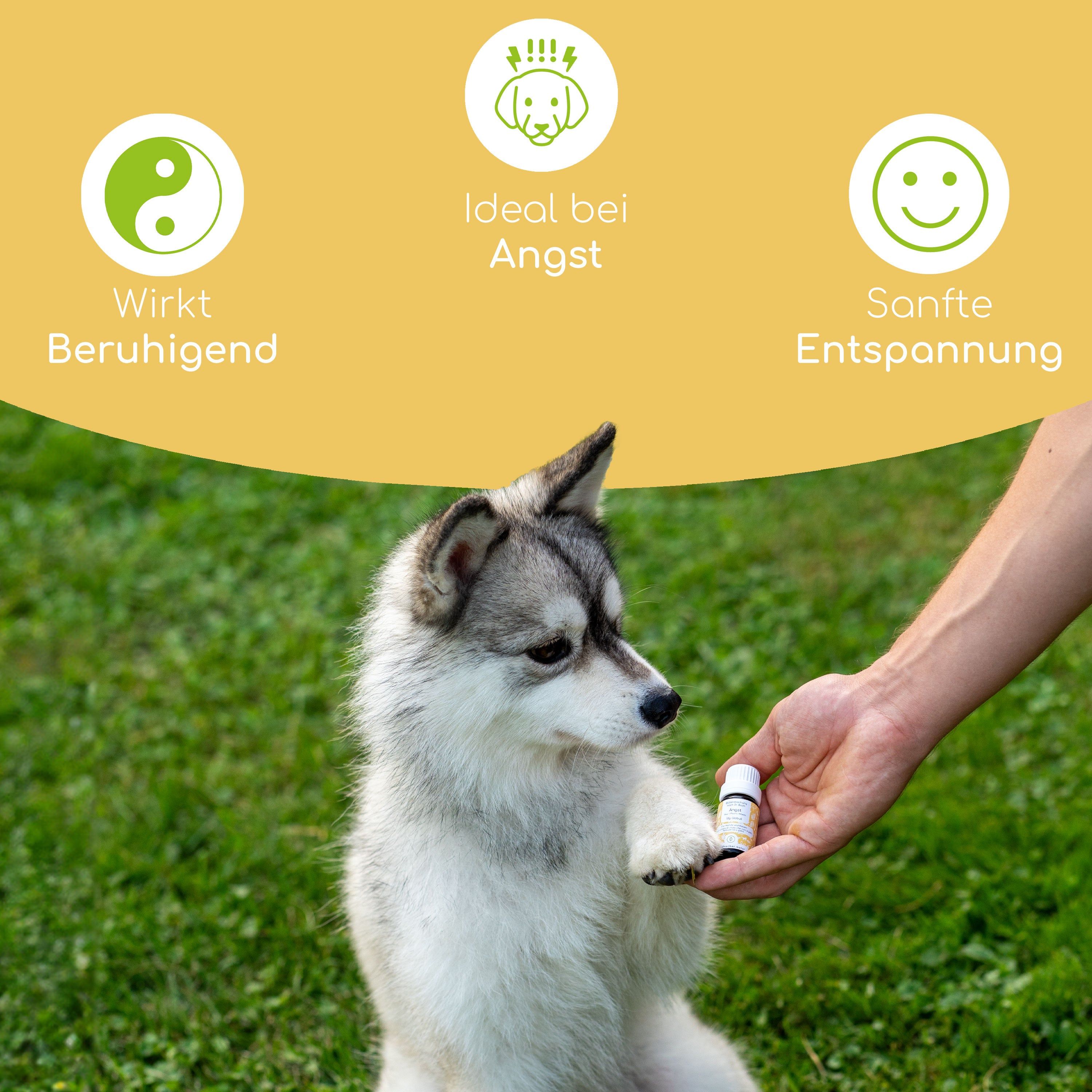 Wolfsbacher Natur Bachblüten Angst