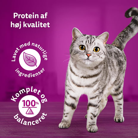 Vådfoder m. okse, kylling, laks og tun