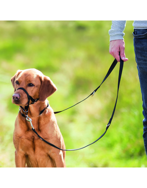 Trixie Top Trainer Opleidingstuig Zwart - Hondenopvoeding