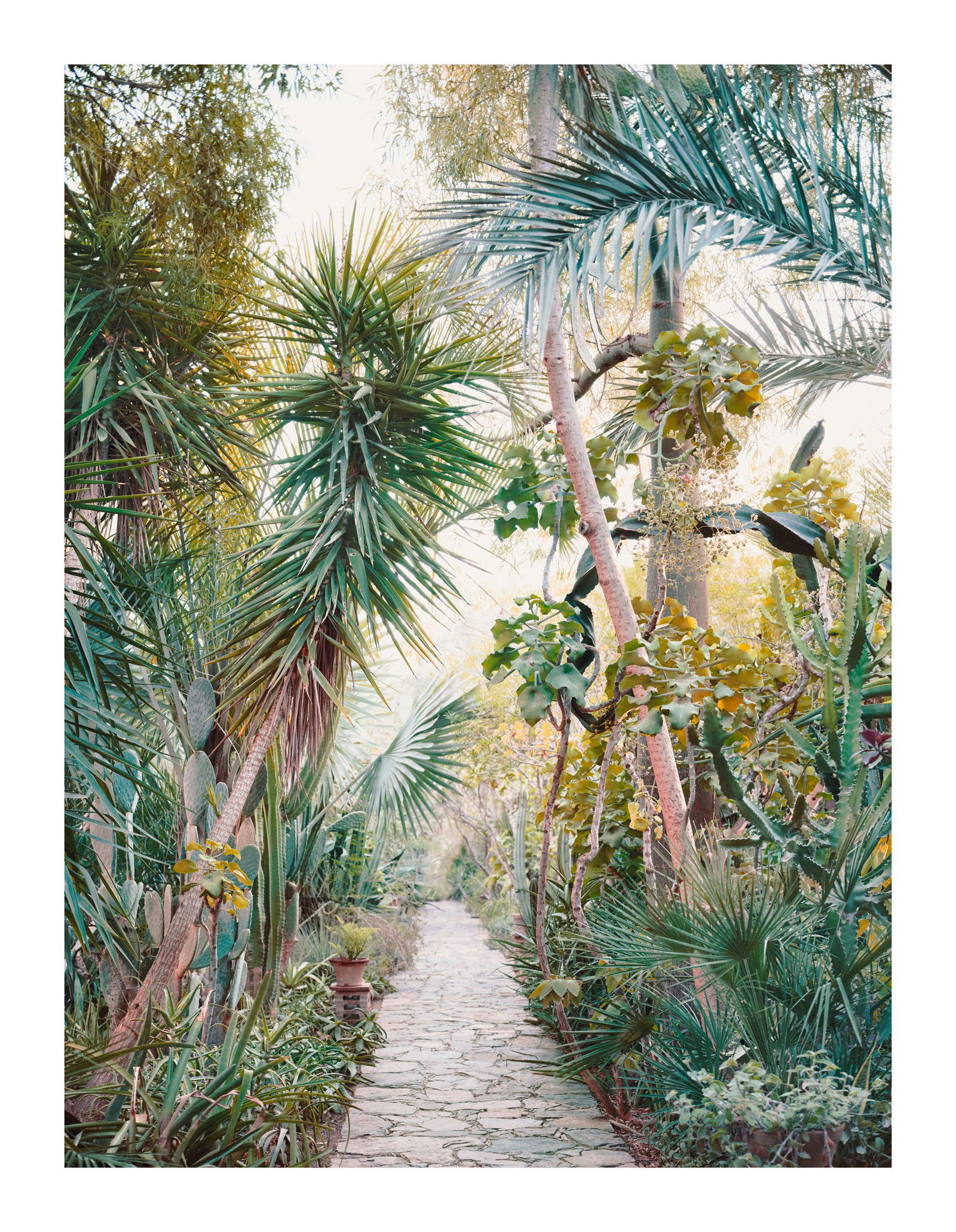Dar al Hossoun II by Simon Watson - Limited Edition. Edition of: 150. Signed.