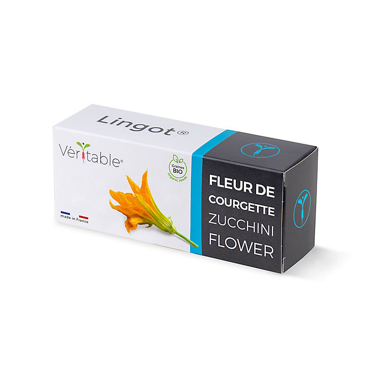 Lingot® Fleur de courgette comestible pour potager Véritable®