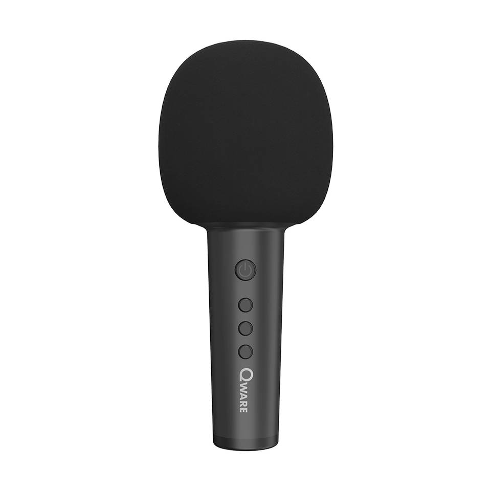 Qware karaoke microfoon + speaker - zwart