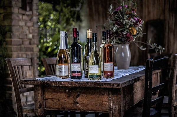 Weinbergwanderung in Schriesheim als Geschenk