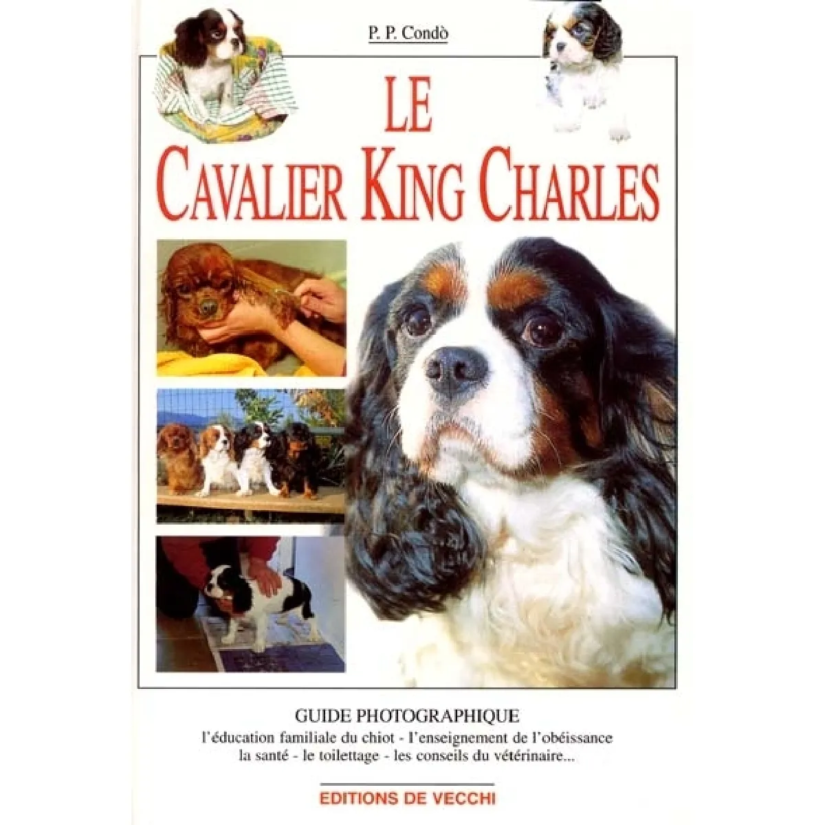 Le Cavalier King Charles · Occasion