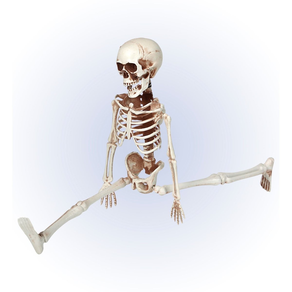 Halloween Skelet Beweegbaar 40cm