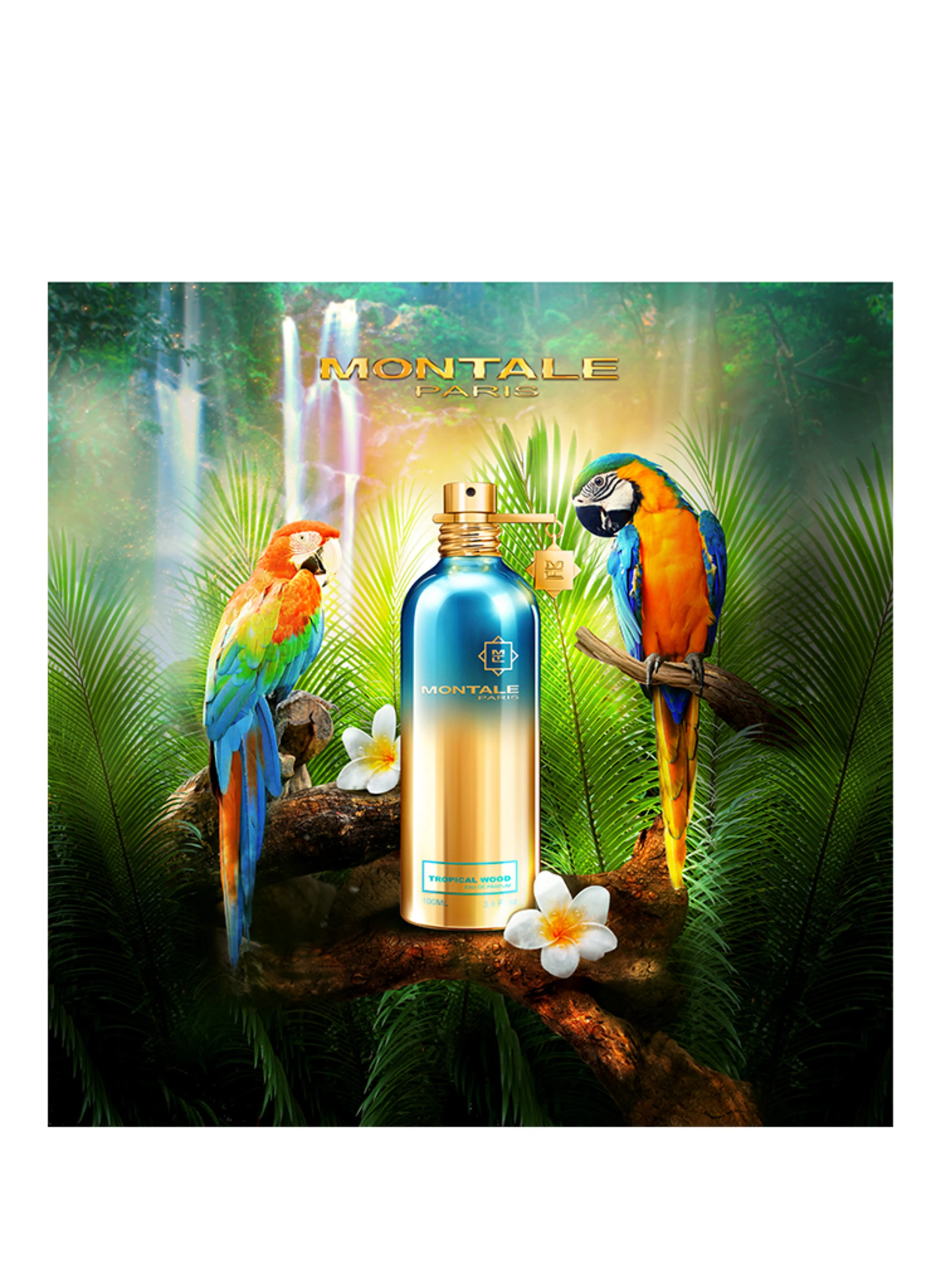 MONTALE TROPICAL WOOD