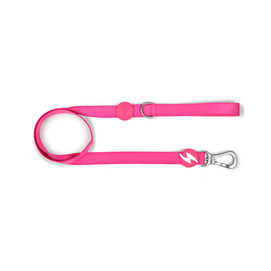 Coleira rosa de nylon para cães