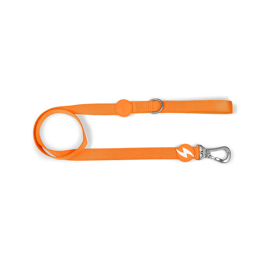 Guia de nylon laranja para cães