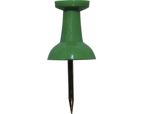 Groene punaises, 12 stuks