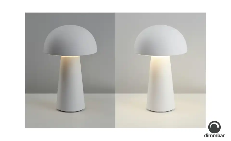 LED Tischleuchte, 1-flammig