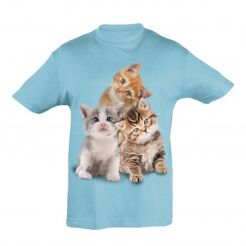 Camiseta infantil azul com estampa de gatinhos.