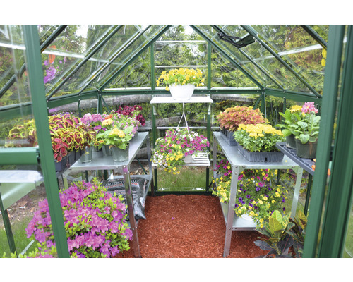 Harmony kas 6x8 polycarbonaat panelen 0,7 mm incl. funderingsframe 247 x 185 cm groen