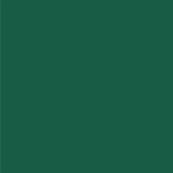 Karwei buitenlak hoogglans gracht groen 750 ml