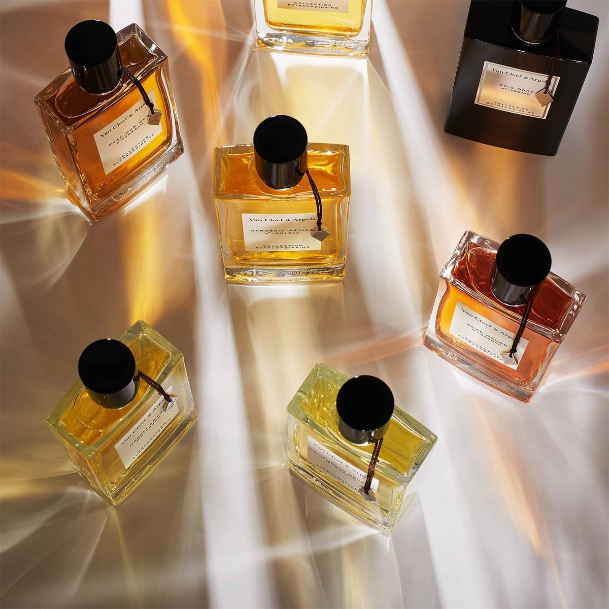Van Cleef &  Arpels Moonlight Rose Eau de Parfum