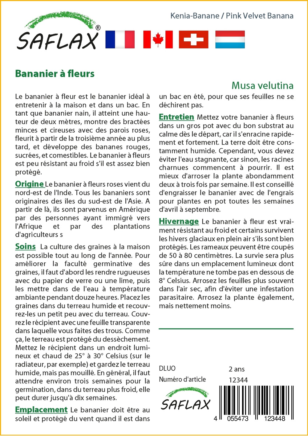 Bananier à fleurs - 8 graines - musa velutina