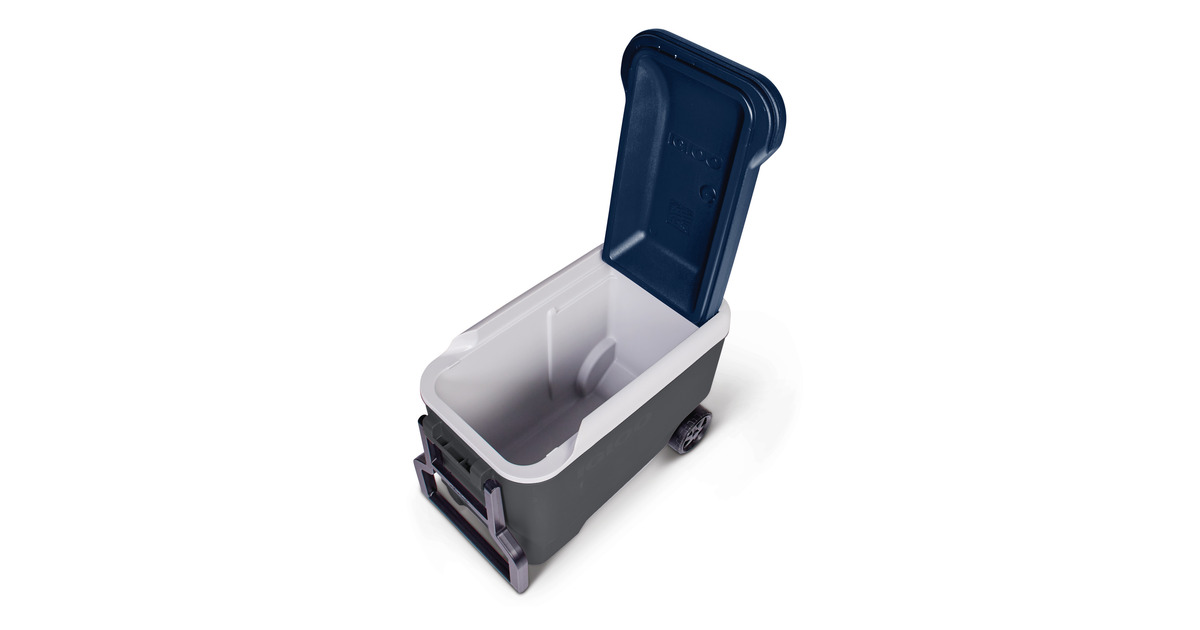 IglooMaxcold 40R, 38 liter koelbox  (Grijs)
