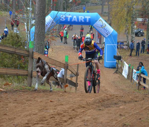 Non-stop dogwear Bikeantenne für Hundeleinen,
