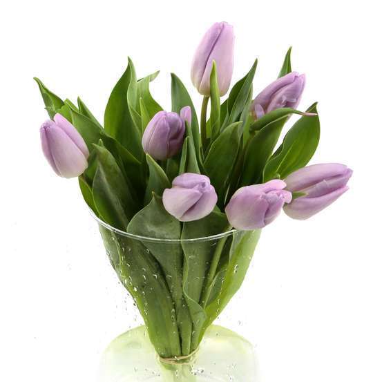 Botte 7 Tulipes H.40cm - Coloris variables
