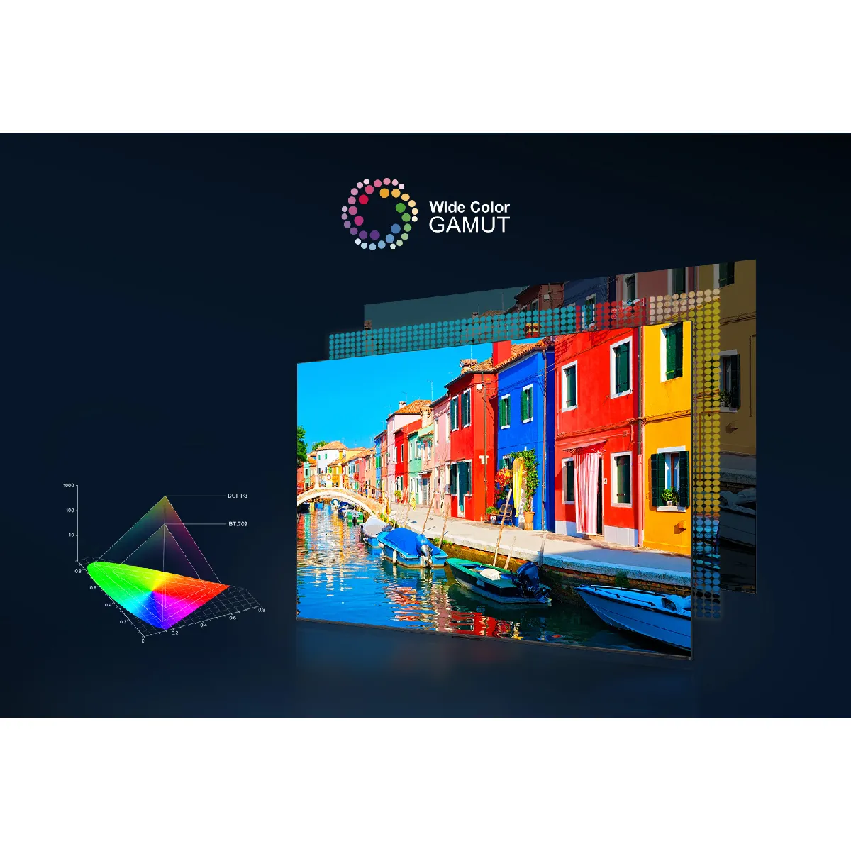 TCL 65P79B