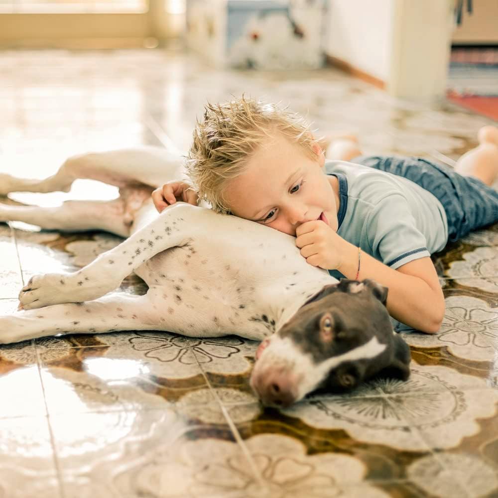 THOMAS Boxer 788119 robuster und leistungsstarker Nass-Trocken Waschsauger, 1400 W, 4 Bar, grau/orange, 490/390/390