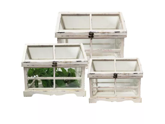 Set de 3 mini serres d'intérieur en bois blanc et verre