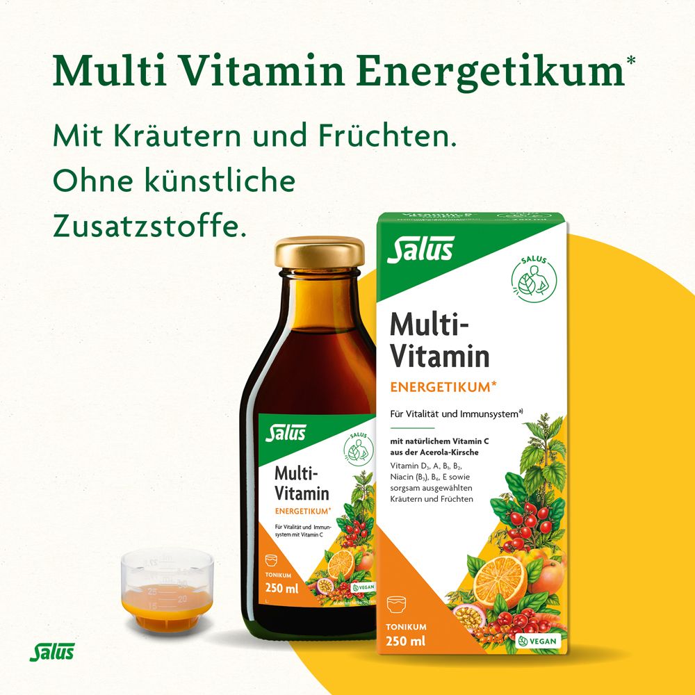 Salus® Multi-Vitamin Energetikum* Familienpackung