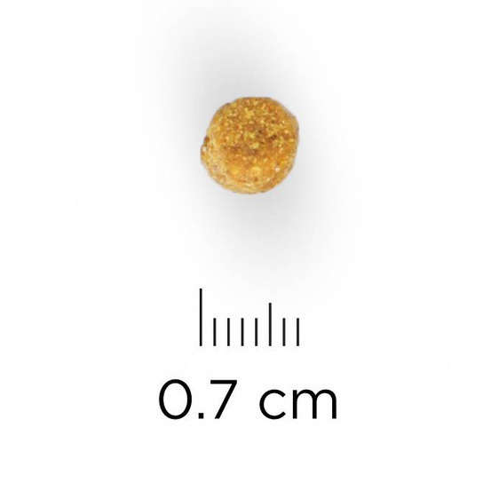 Croquettes chat adulte stérilisé au poulet Super Premium - 1,5 kg