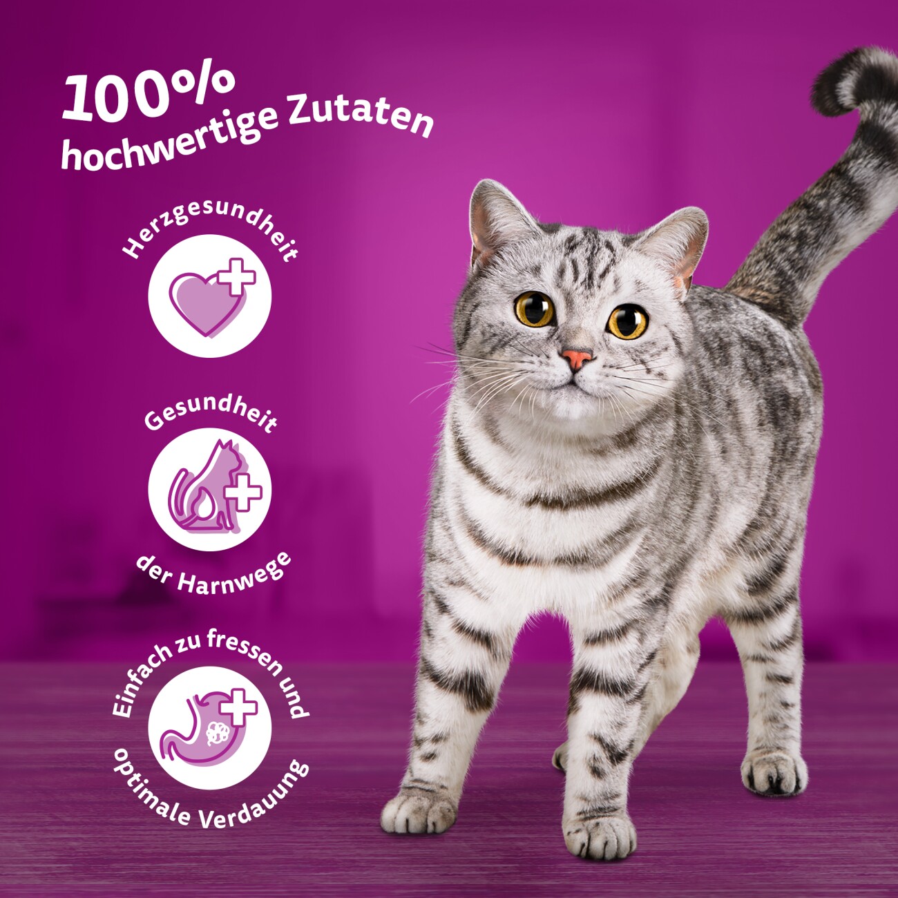 Whiskas Multipack 11+ Geflügel Auswahl in Gelee 12 x 85g