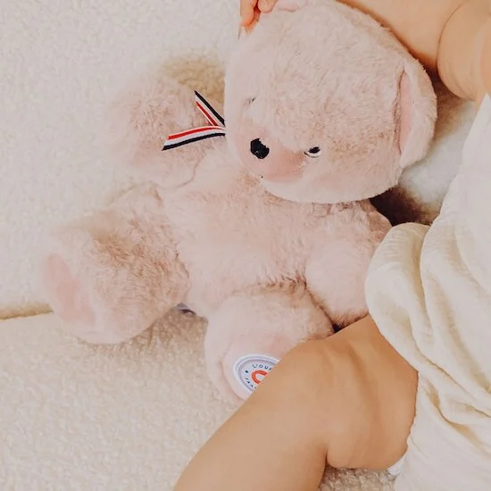 Ours en Peluche Articulé Français   Rose Pastel        25 cm   de               L'ours français