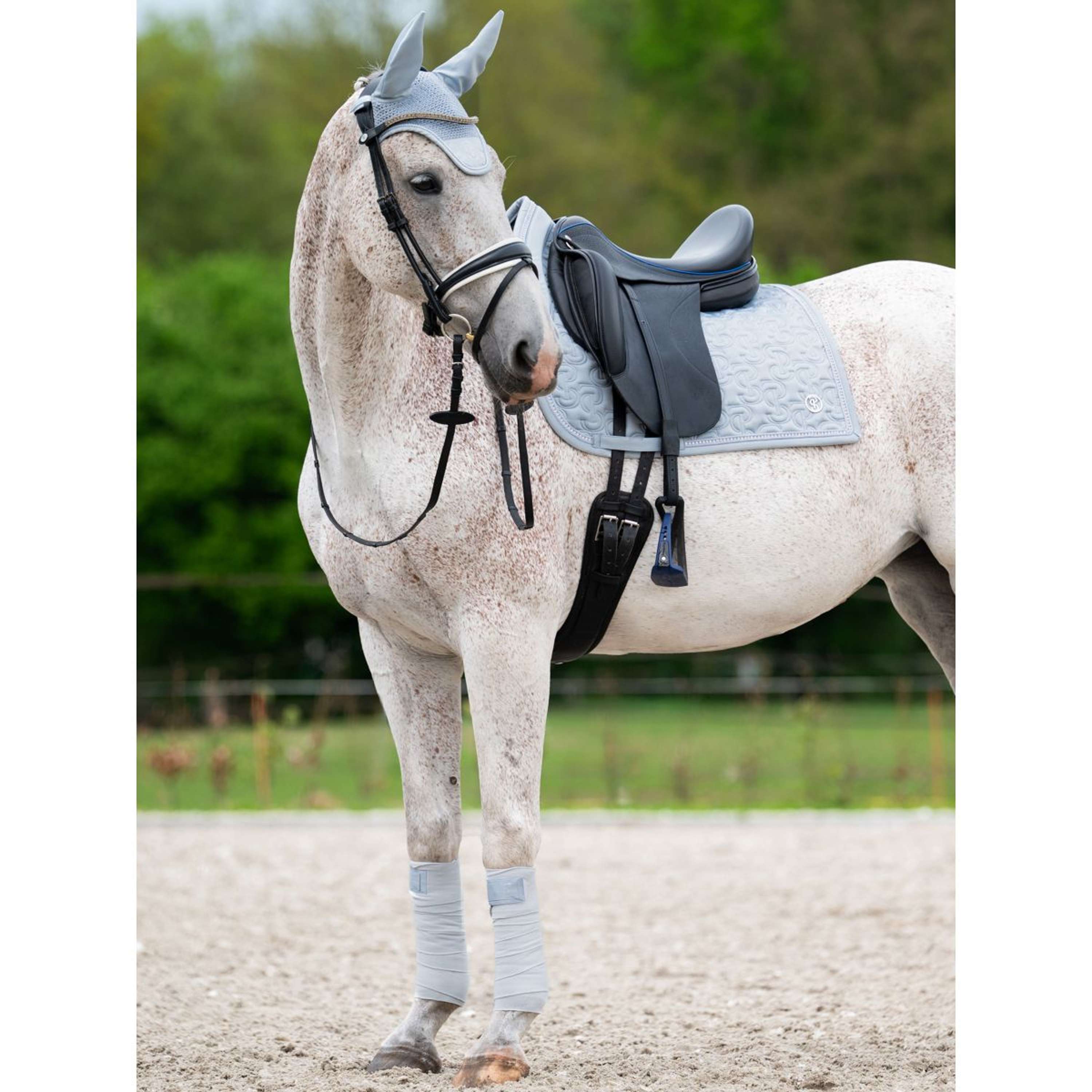 PS of Sweden Zadeldekje Crystal Dressuur Blue Whisper