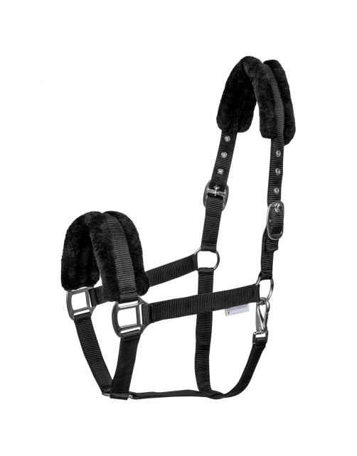 Waldhausen Halster First Zwart - Paardenhalster