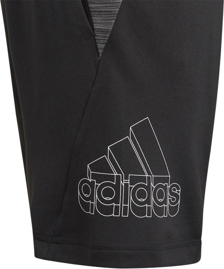 adidas AEROREADY Heather træningsshorts Sort