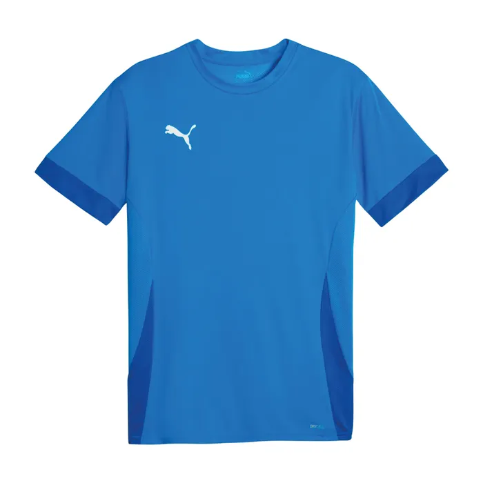 Puma TeamGOAL Matchday Shirt Heren