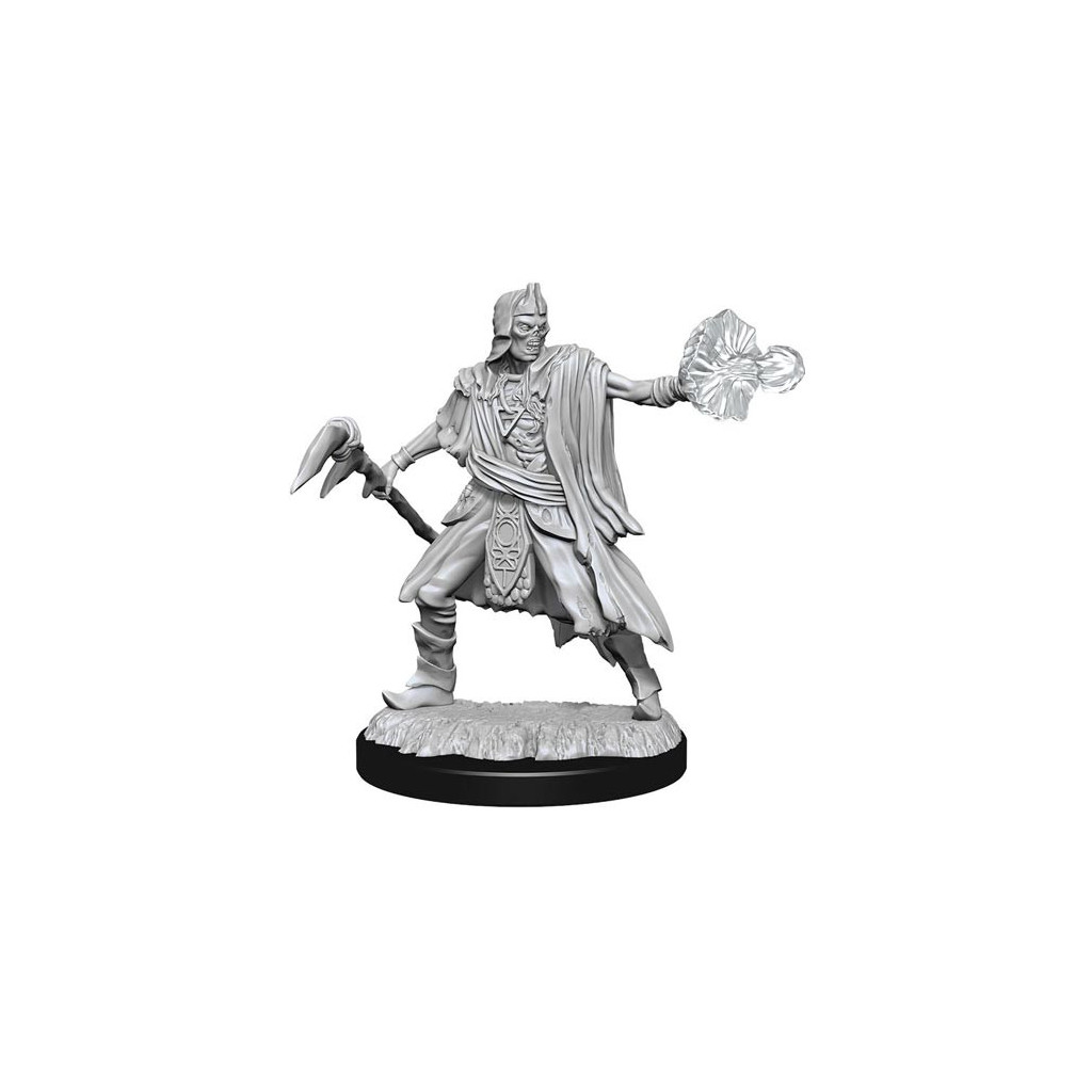 D&D Nolzur's Marvelous Unpainted Miniatures : Allip & Deathlock