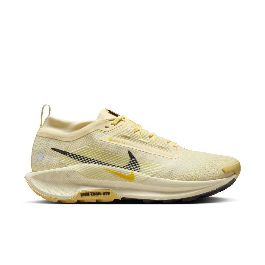 Nike Chaussures de Running Pegasus Trail 5 Gore-Tex - Alabaster/Gris/Or