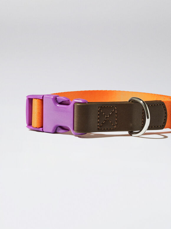 Coleira personalizável para cães - Laranja