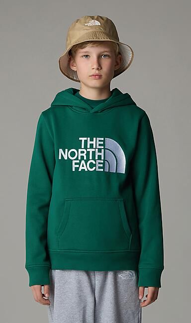 THE NORTH FACE - SWEAT A CAPUCHE B DREW PEAK P/O HOODIE