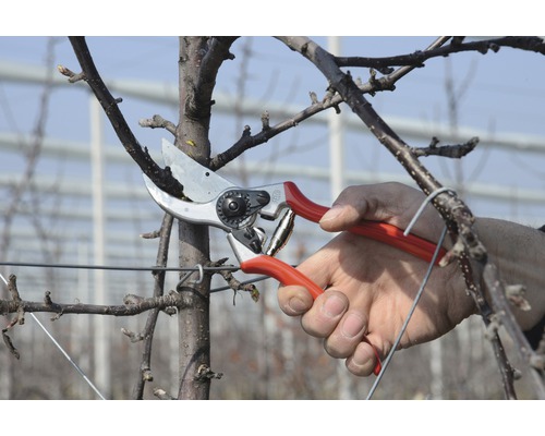 Felco 2 snoeischaar, tuinschaar