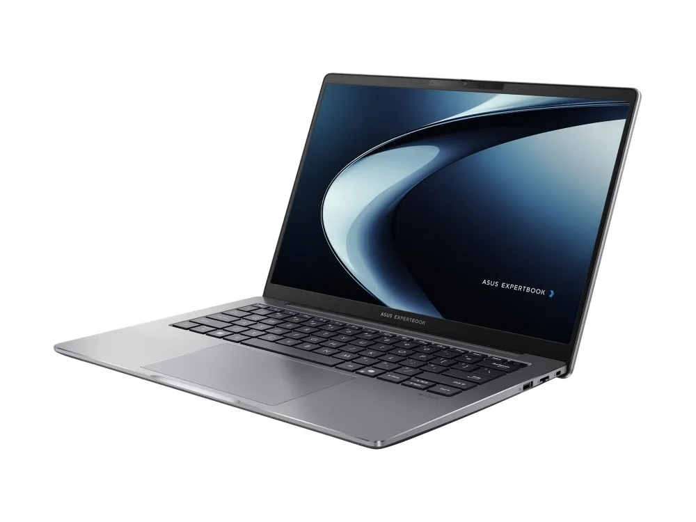 ASUS ExpertBook P3 PM3606CKA-MB0272XW - SSD NVMe - tåget grå