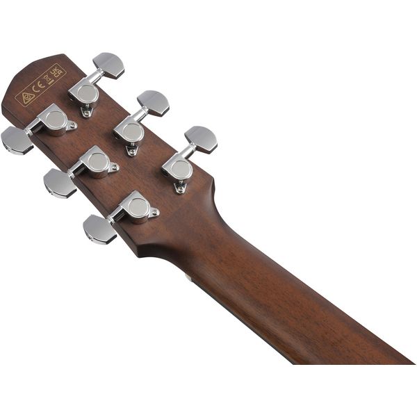 Ibanez AAM300CE-NT