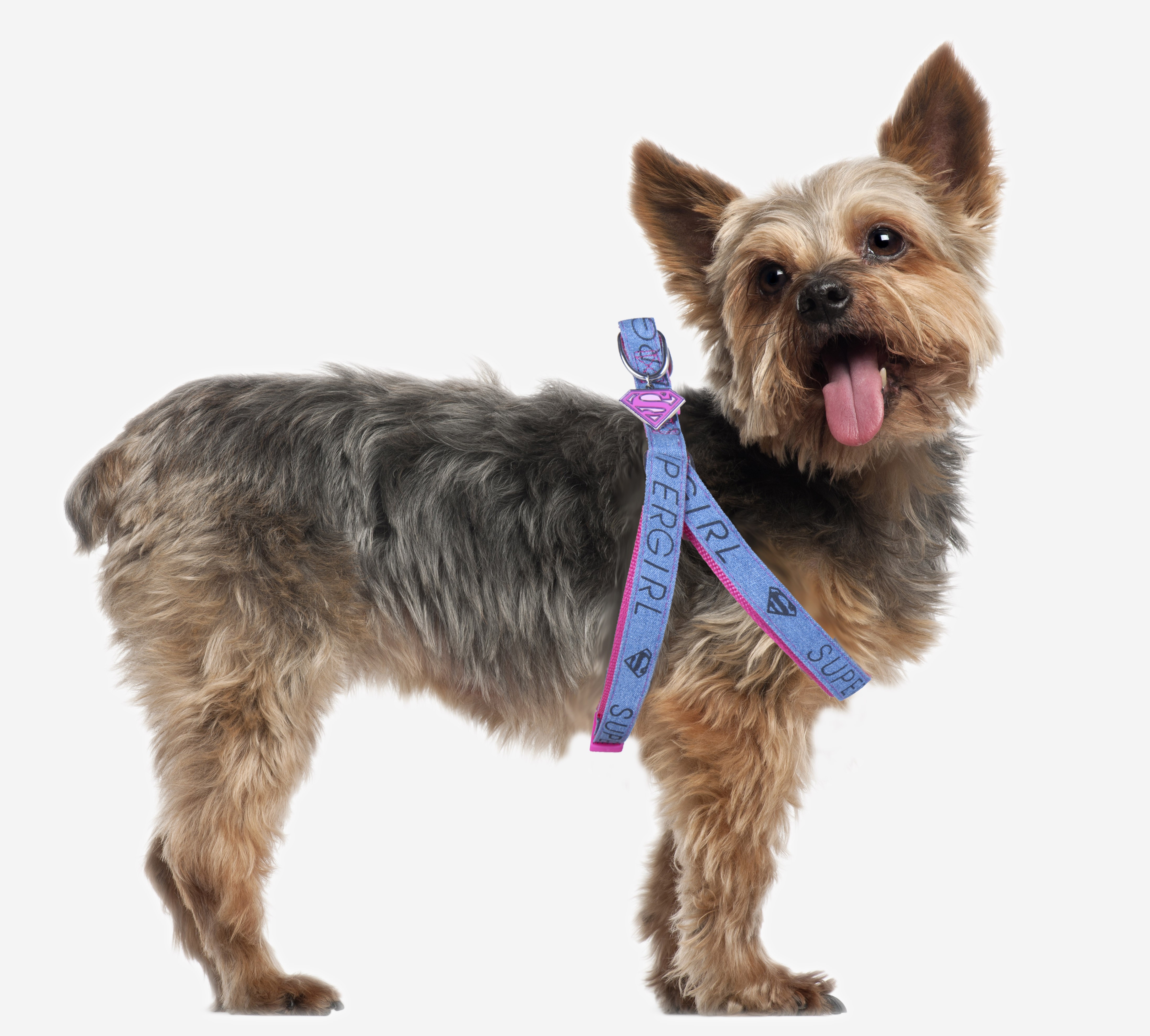 Colete/Peitoral para Cães ForfanPets Supergirl Tamanho Pequeno