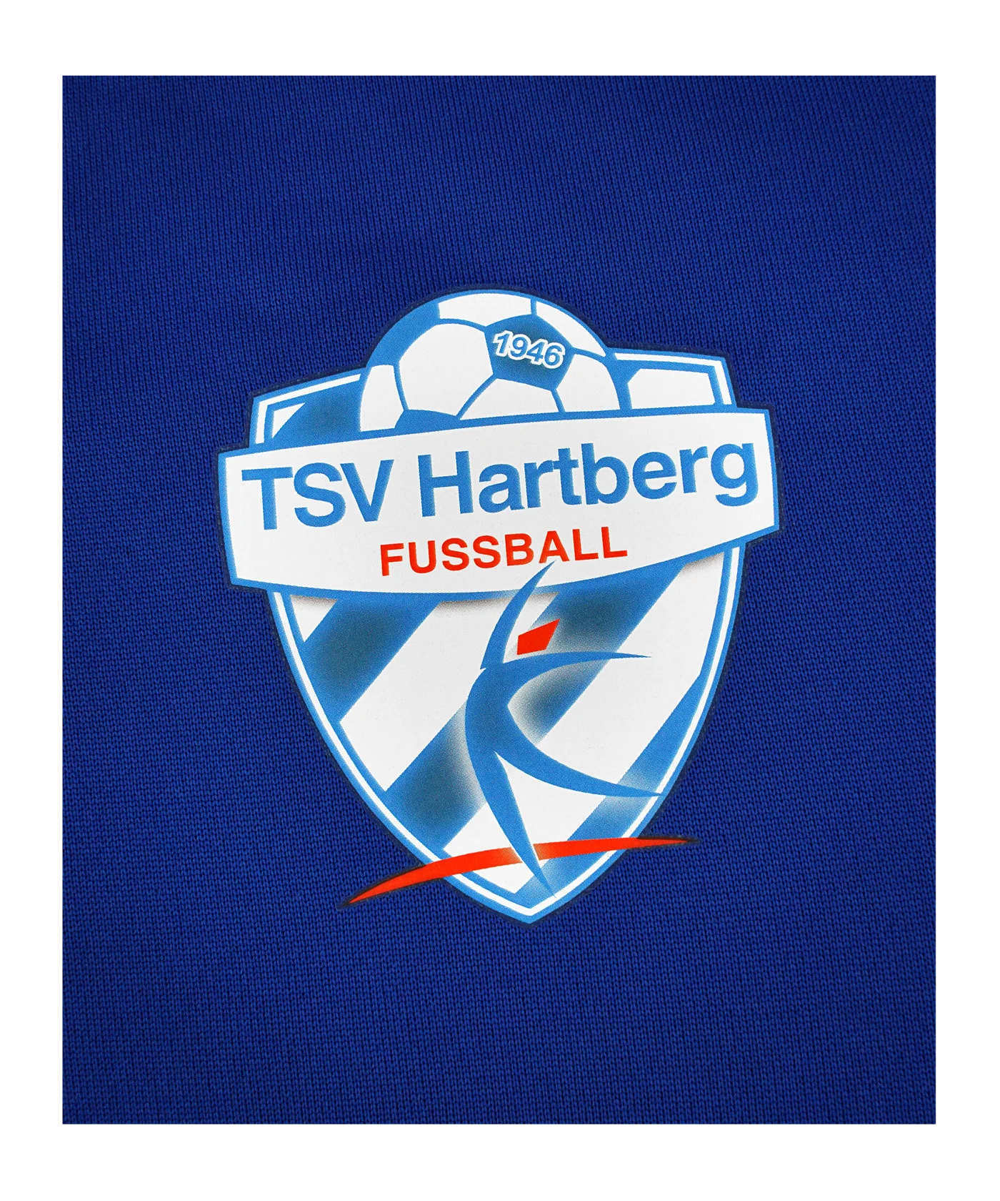 adidas TSV Hartberg Hoody Blau