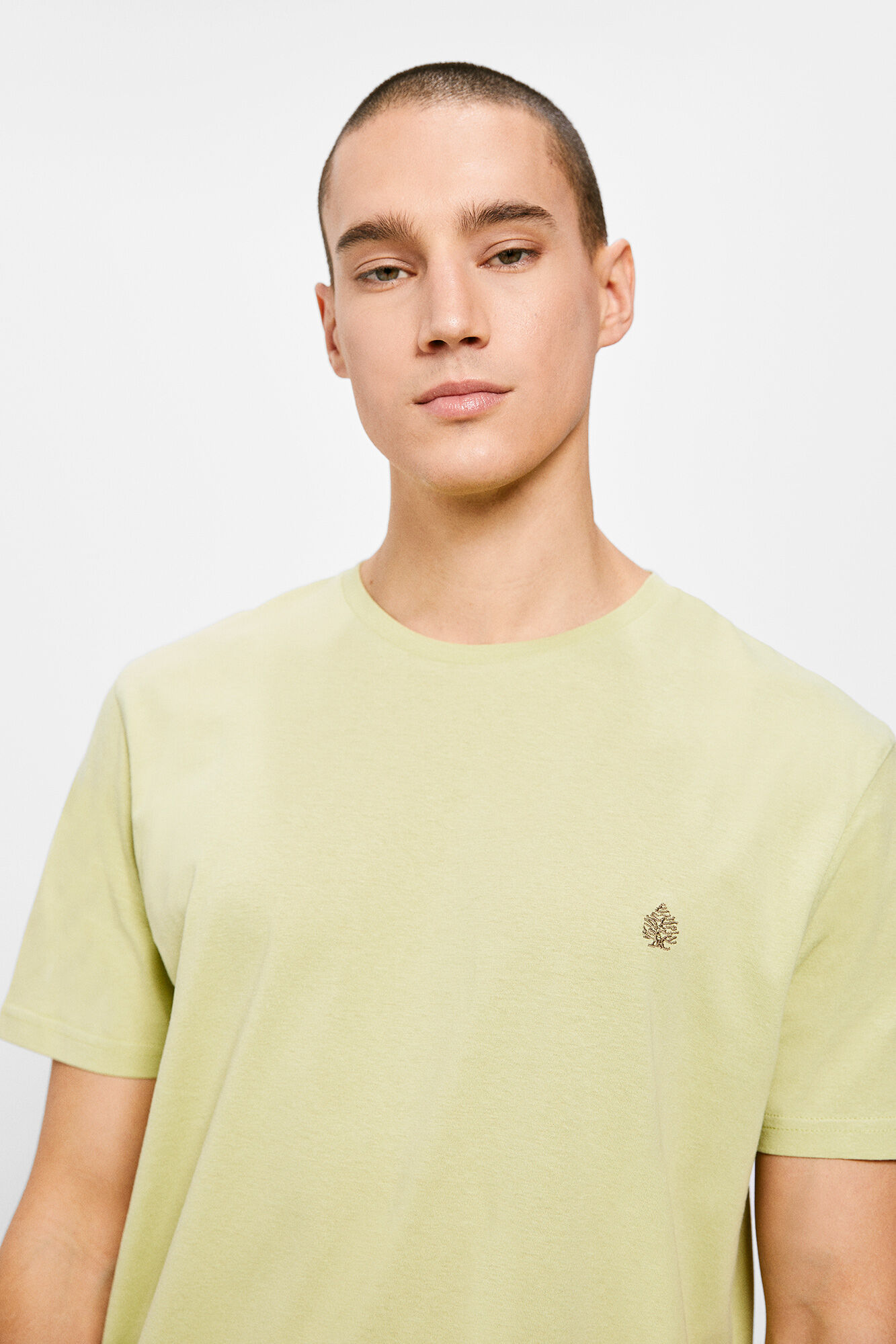 Camiseta básica com estampa de árvore - verde