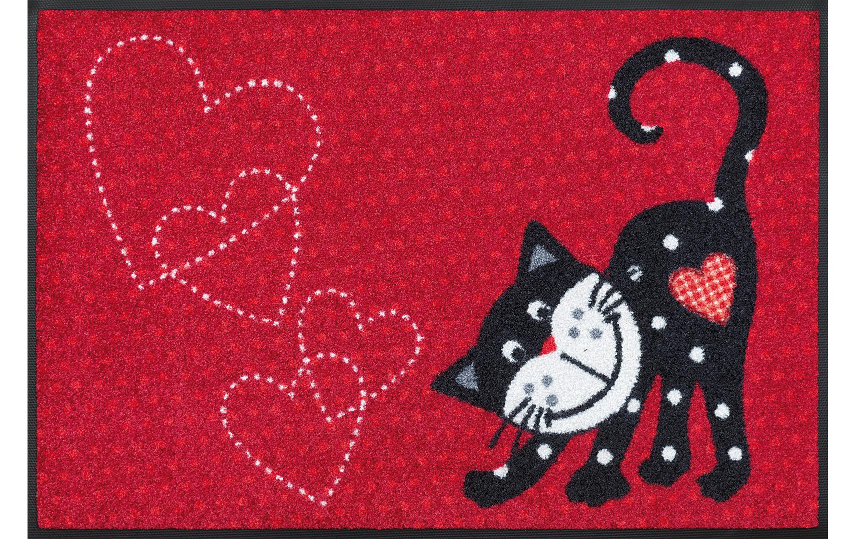 Fussmatte Romeo in Love 50 cm x 75 cmPflegeleichte und rutschfeste Schmutzfangmatte