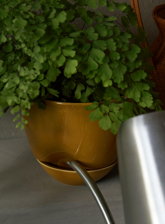 Audo Copenhagen Hydrous bloempot small Ø12 Ashen