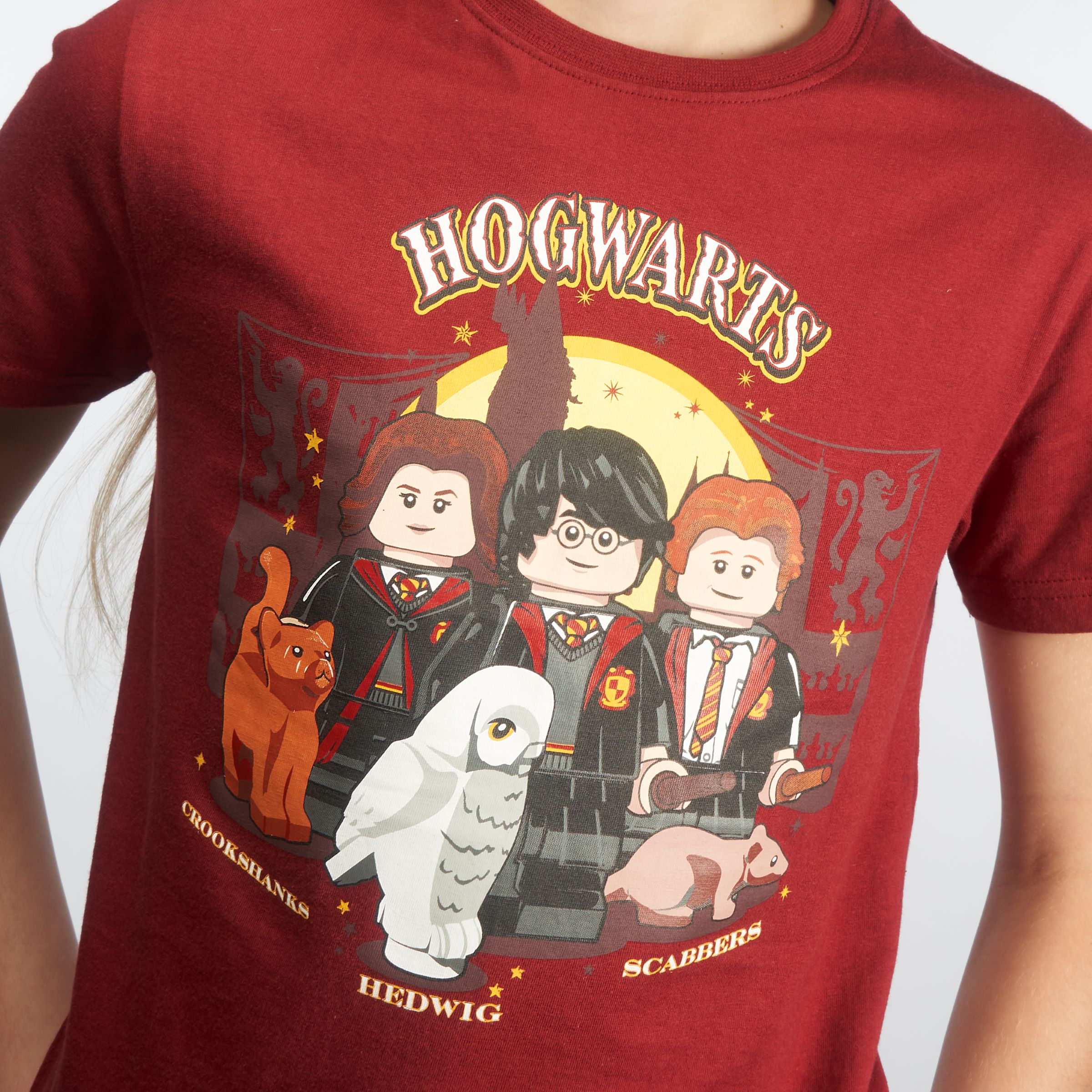 Camiseta Harry Potter™ – Bordô 5008032